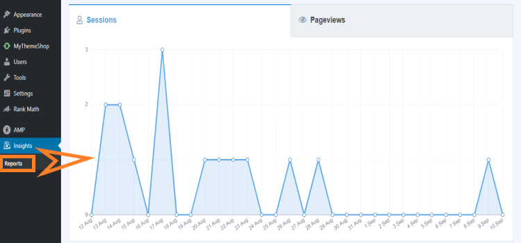 MonsterInsights dashboard in WordPress