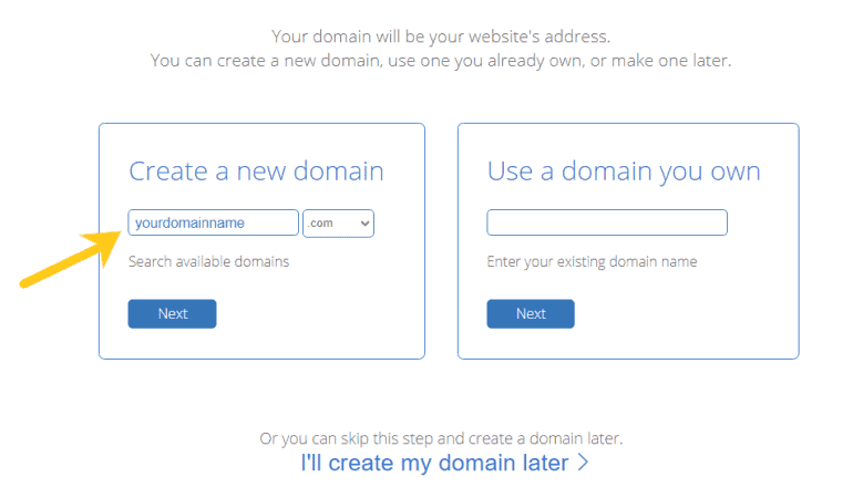 Choose a free domain name
