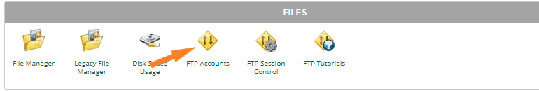Getting FTP account information from cPanel